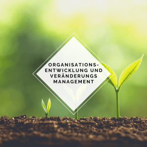 Modul Organisationsentwicklung und Veränderungsmanagement