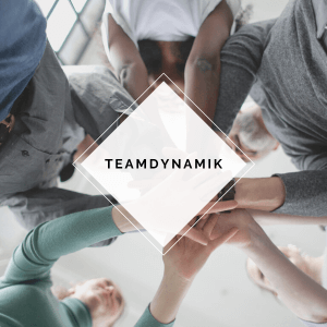 Modul Teamdynamik